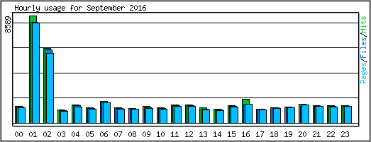 Hourly usage