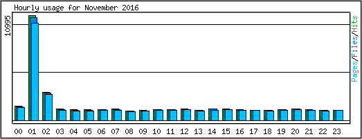 Hourly usage