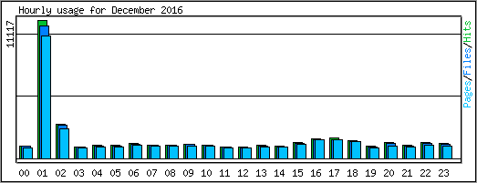 Hourly usage