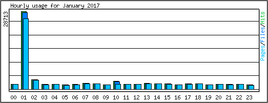 Hourly usage