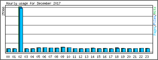 Hourly usage