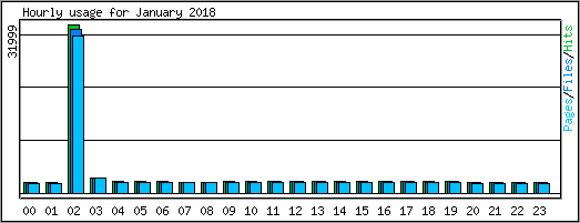Hourly usage
