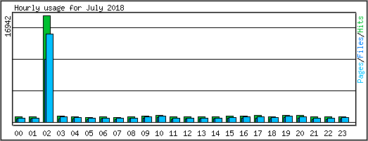 Hourly usage