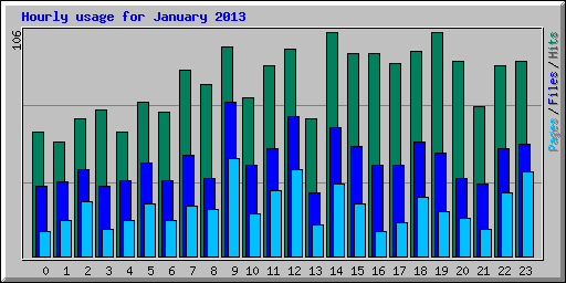 Hourly usage for January 2013