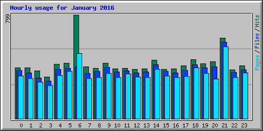 Hourly usage for January 2016