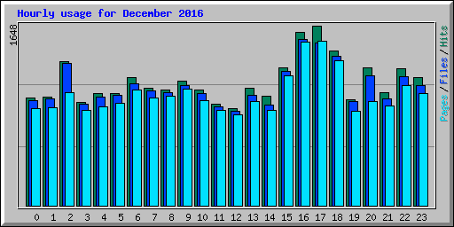 Hourly usage for December 2016