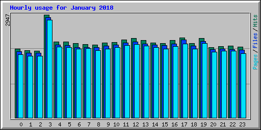 Hourly usage for January 2018
